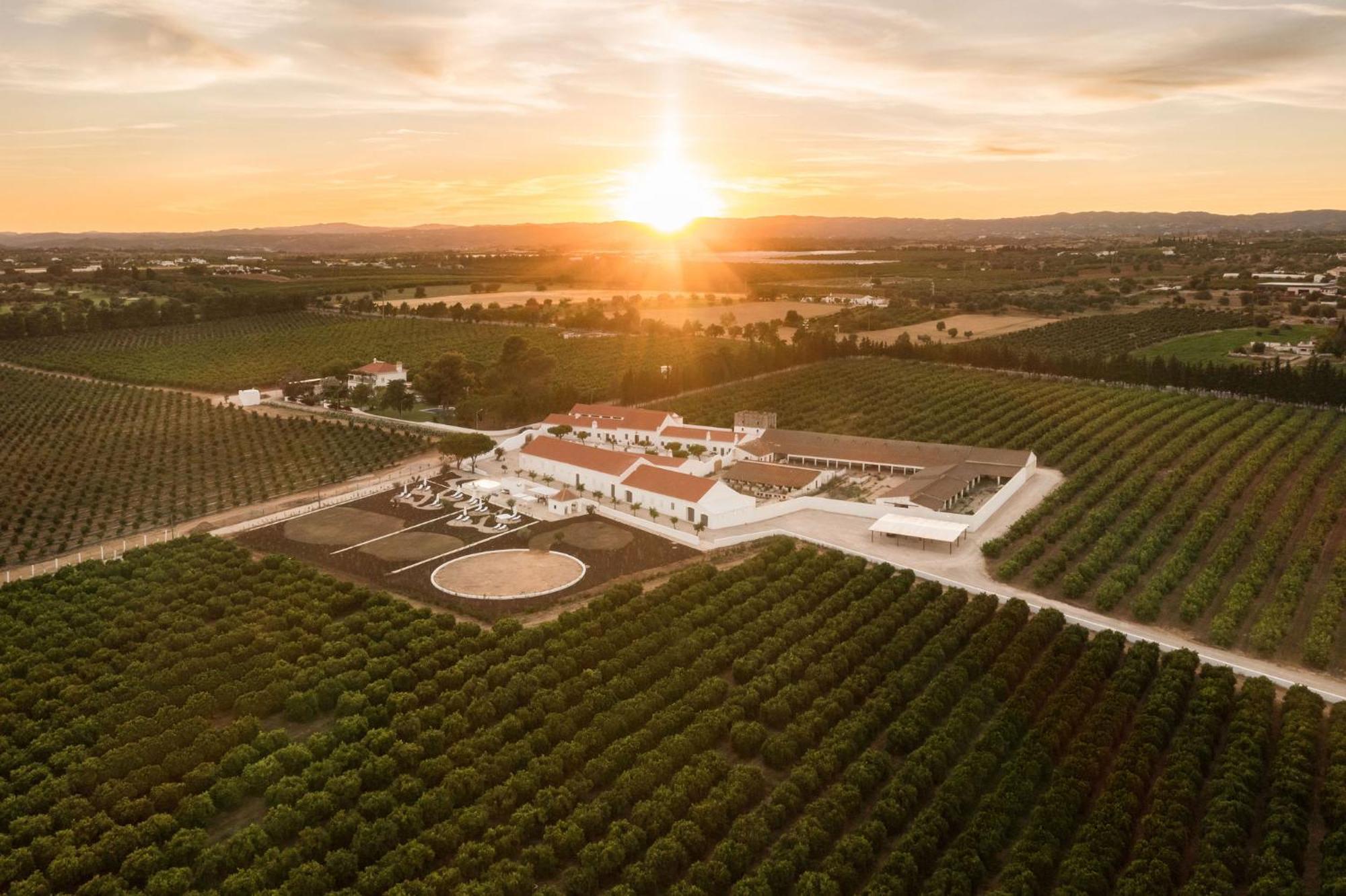Вилла Casas Da Quinta De Cima Вила-Нова-де-Касела Экстерьер фото